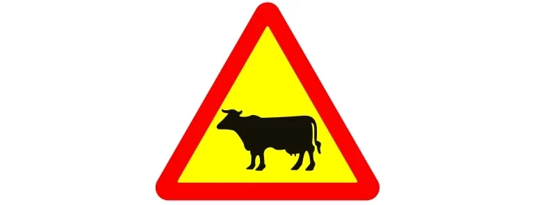 cau-hoi-124-bien-bao-giao-thong-nguy-hiem-gia-suc